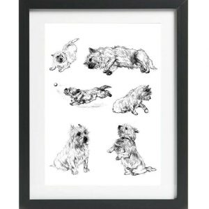 Cairn Terrier art print