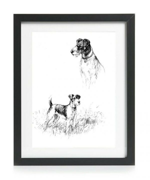 Fox Terrier art print