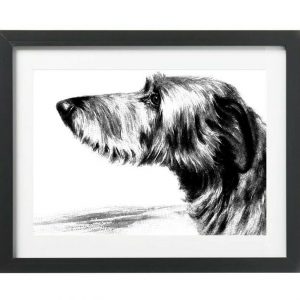 Scottish-Deerhound-art-print