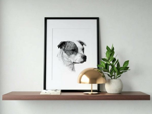 Staffordshire Bull Terrier in frame