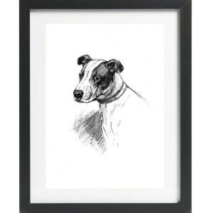Staffordshire Bull Terrier art print