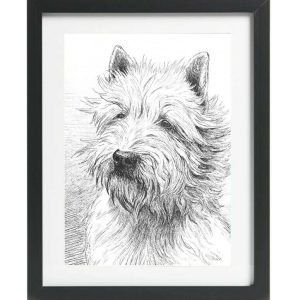 Westie West Highland White Terrier Dog Picture Art Print Westie Gift Reprint Wall Art
